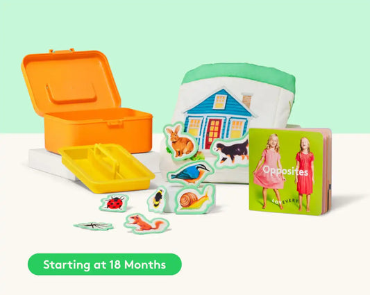 Sort & Match Mini Kit